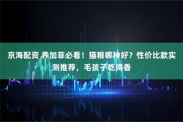 京海配资 养加菲必看！猫粮哪种好？性价比款实测推荐，毛孩子吃得香