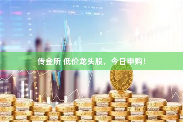传金所 低价龙头股，今日申购！